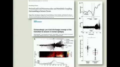 Goals and hot topics in epilepsy mechanisms, models, prediction and control