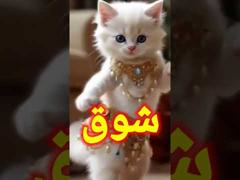 اغنية بأسم شوق شوق الاغنية كامله دوس هنا