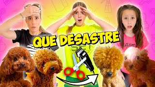 Le CORTAMOS el PELO a nuestros PERROS! CAMBIO LOOK RADICAL SALE MAL 😭 REACCIÓN DE Daniela Y Martina