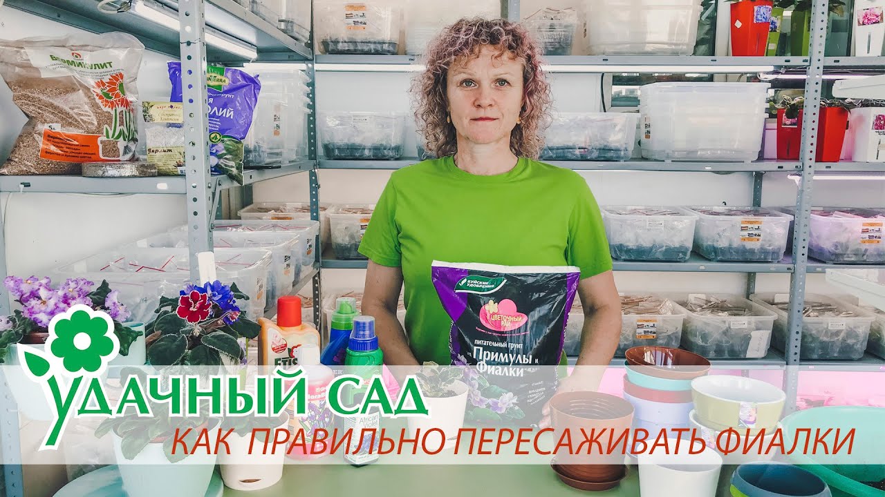 Семена Удачный Сад Интернет Магазин Иркутск