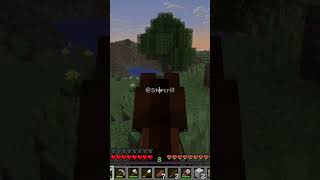 Estrello mexeu com a Abelha errada!! @Starcrill #minecraft #longplay