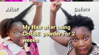 TWO WEEKS  OF  CHEBE POWDER  DID THIS  TO MY HAIR -9 Inches in 14 days/Chebe powder update ??