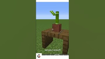 BONSAI TREE IN MINECRAFT | #shorts #tranding #viral