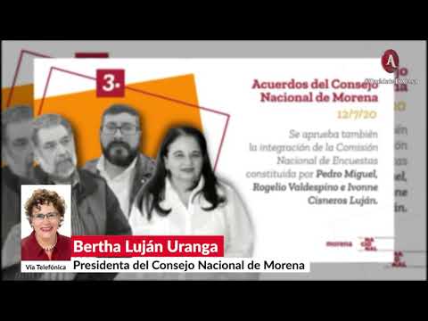 Sentencia del Tribunal Electoral viola estatuto de Morena: Bertha Luján