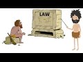 Lex animata animated law lectures