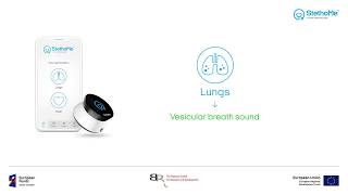 Lungs auscultation - vesicular breath sound #1 screenshot 2