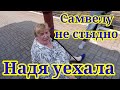 Надя уехала. Самвелу не стыдно. Обзор Saveliy Ad