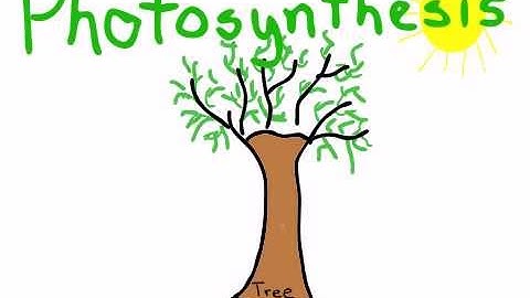 iPad Animation using DoInk Animation & Drawing App: Photosynthesis for Science Class
