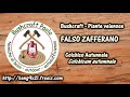 FALSO ZAFFERANO: pianta velenosageneralmente mortaleautunnale Mp3 Song