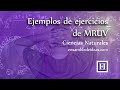 Movimiento Rectilíneo Uniformemente Variado (MRUV): 2 ejemplos prácticos explicados.