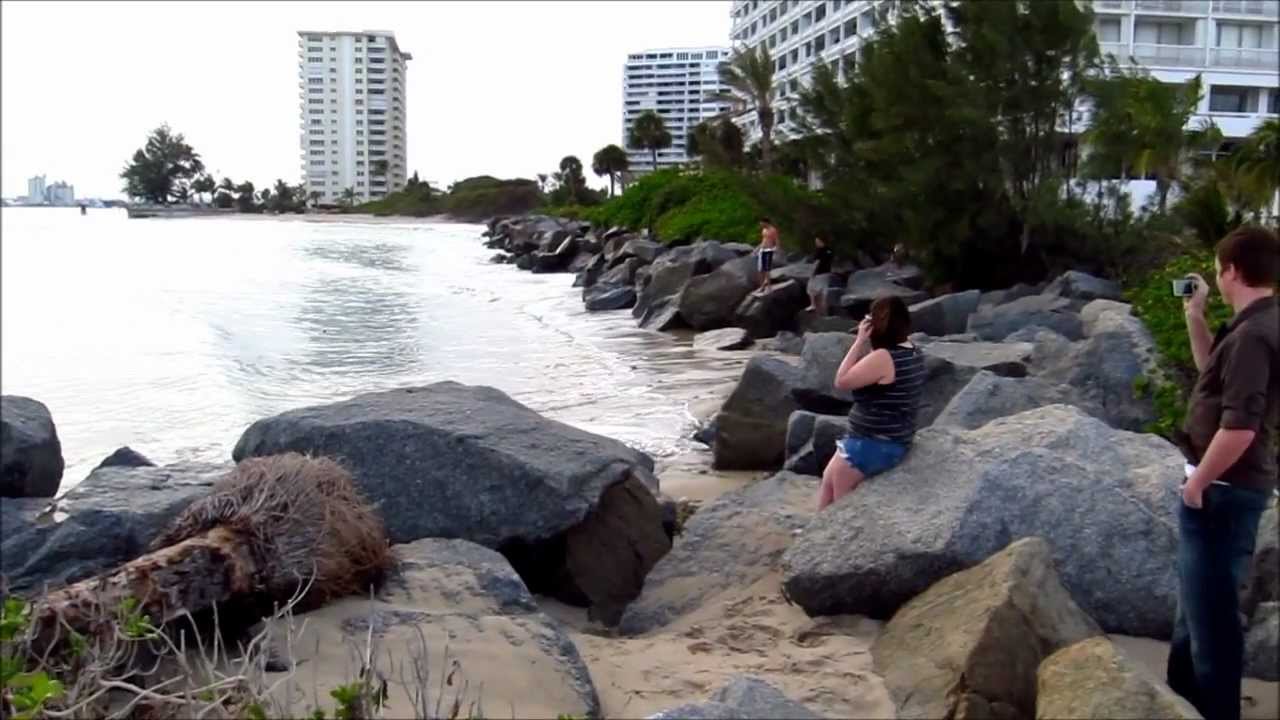 Tsunami effect march 9 Oasis of the seas leaves port Canon s-95