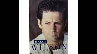 Brian Wilson - Rio Grande (edit)