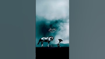 تلاوة هادئه ومريحة 😴❤️#قران_كريم بصوت القارئ #اسلام_صبحي#ارح_سمعك #وقلبكب#قرآن #quran #تلاوات_خاشعة