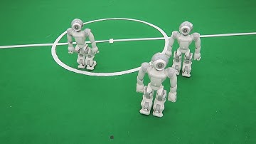 3 Flocking Agents Flocking through Circle - Robot Video