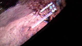 Dubz MW2 Proof