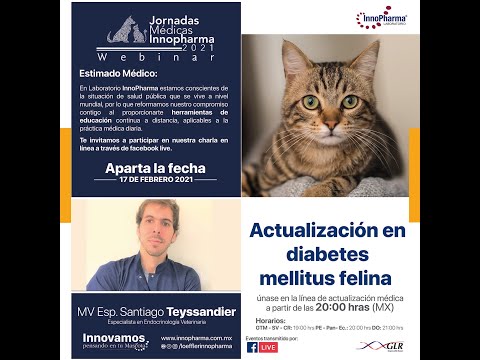 Wideo: Cukrzyca Mellitus Felina