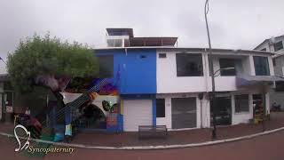 Headman Syncopaternity