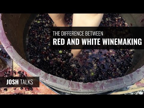 ვიდეო: რიზოტოს მიღებისას რა დანიშნულება აქვს თეთრ ღვინოს?