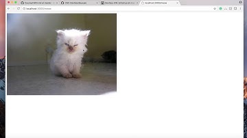 Implementing Proxies, Cache Fluency using Redis and Proxies using Http-Proxy