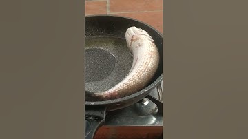 cách cá lóc chiên giòn (chiên sù) chấm nước mắm me @# shorts Huỳnh Đức 1 vlog