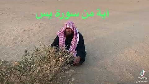 دحيم الحماد 1444ه آية من سورة يس