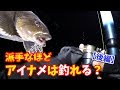 【ベストコレクション】 アイナメ 仕掛け 321718-アイナメ 仕掛け 堤防