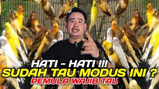 SIMAK SEMENIT SAJA ! BONGKAR PENIPUAN BURUNG KENARI OLEH PEDAGANG NAKAL KICAU MANIA WAJIB TAU