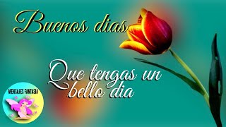 Bello día bendiciones mensaje de buenos dias corto y bonito para ti🌹Imagenes bonitas