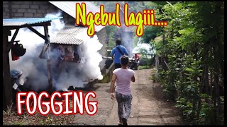 fogging nyamuk || Ngebul lagi