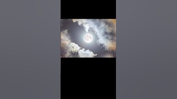 #egzonibrahimi #سورة_الإخلاص #ikhlas #nature #beautifulworld #alhamdulillah #naturesvoice #art#views