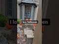 I love it #halloween #nottoday