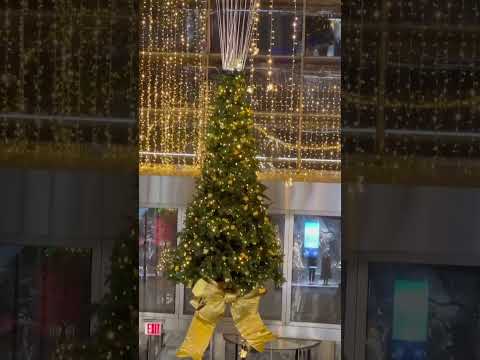 Video: De beste kerstverlichting in NYC