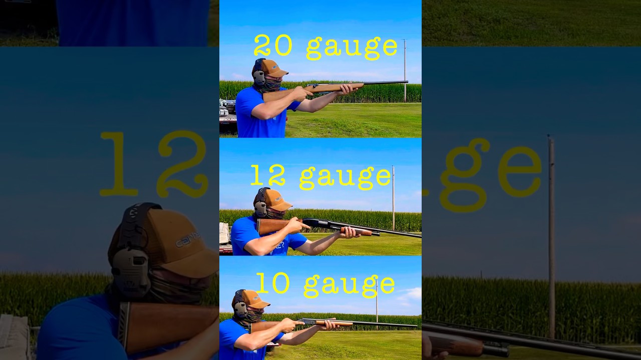 Shotgun Recoil 20 Gauge Vs 12 Gauge Vs 10 Gauge YouTube Shotgun Recoil 20 Gauge Vs 12 Gauge Vs 10 Gauge YouTube
