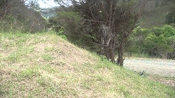 RC Buggy Awesome slow-mo Jump and Roll