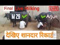 HLDB #M29 or #Arjun ki jhothi का live milking बनाया एक शानदार रिकार्ड