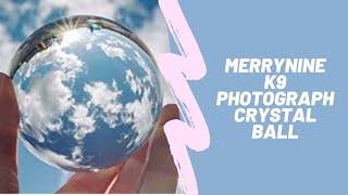 MerryNine K9 Photograph Crystal Ball | $100k Bonuses in Description screenshot 5