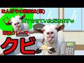 【猫ミーム】仕事を1年で2回クビになった占い師!!