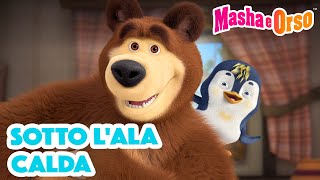 Masha e Orso Sotto l'Ala Calda  Cartoni animati per bambini