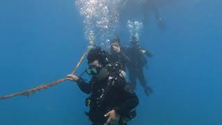 PADI OW 淺水執照 考照 墾丁 藍洞潛水Blue Hole Dive Center 19