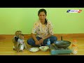 Master Chef Assistant Monkey KAKO & Luna Cooking Fried Quail Eggs Recipe