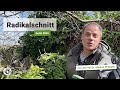 Radical pruning of ivy | gardify tips - YouTube