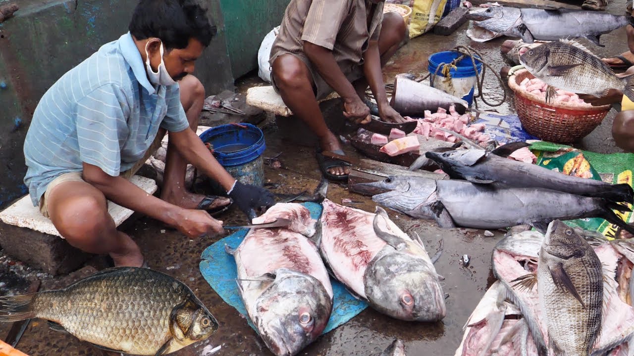 Amazing Live Big Fish Cleaning And Cutting Skills |street food | KikTV Network