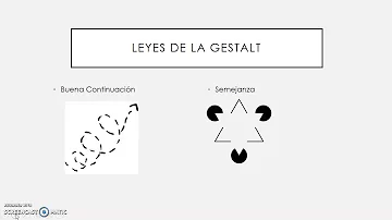 ¿Cuáles son las etapas de la percepción?