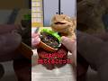 激うまゴキブリホットドッグの作り方