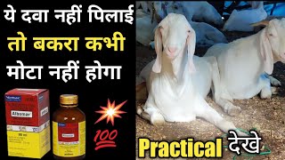 Bakre ki Deworming ka Tarika भाग-2 || बकरे या बकरी के पेट में कीड़े मारने की  दवा / Goats Dewormers
