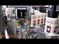 Mantovaexcellence Com Newtec Labelling Mantovaexcellence Com Newtec Labelling