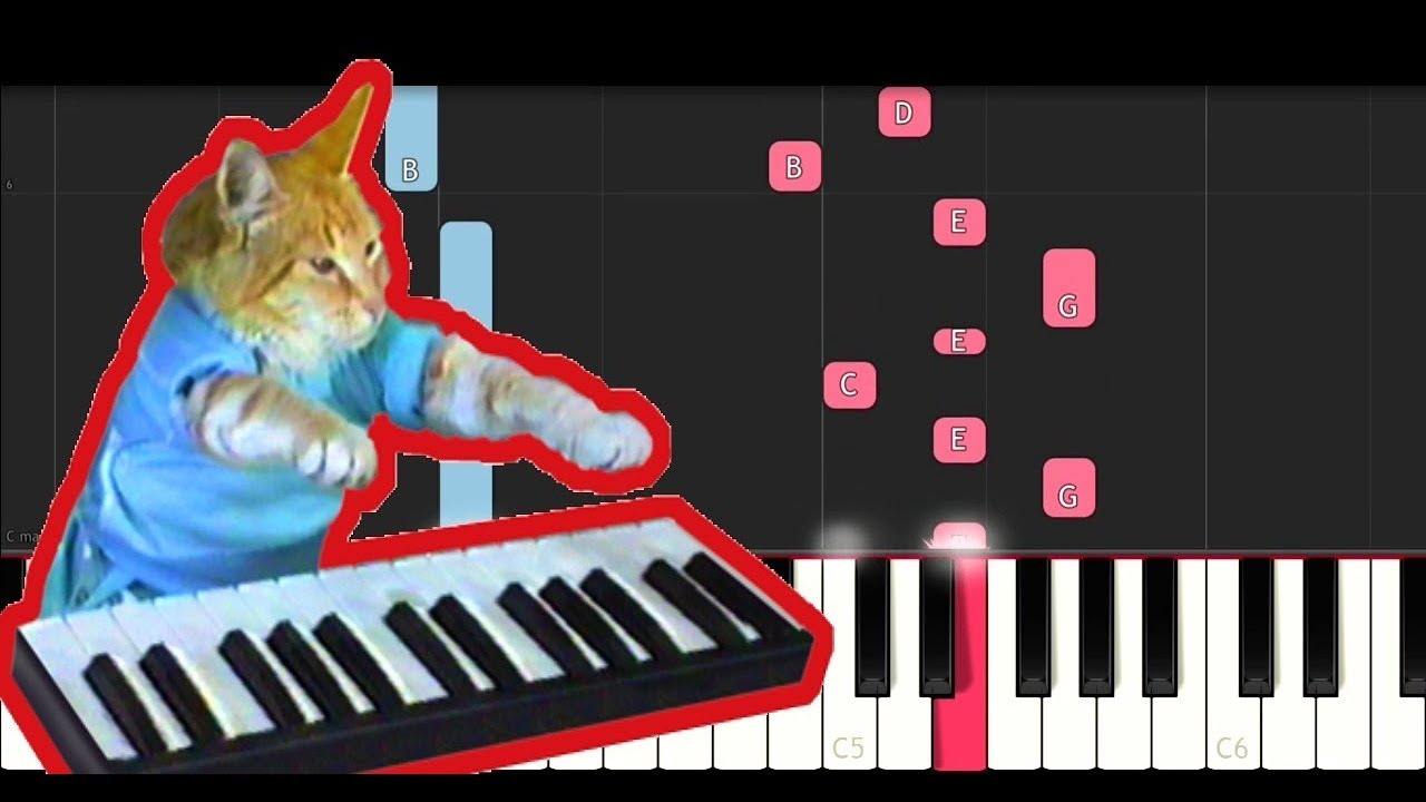 Keyboard Cat Theme (Piano Tutorial) - YouTube