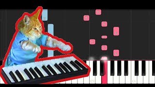 Keyboard Cat Theme (Piano Tutorial) Resimi