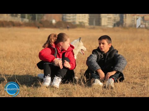 #ნაშუადღევს კესო და ანდრია - ძაღლების სიყვარულით შთაგონებული საქმე
