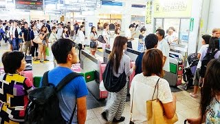 「奇跡の一枚」山手線が運転見合わせる中、偶然撮影